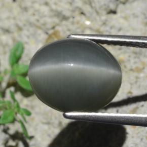 7,96 ctw natürlicher grauer Quartz Cat's Eye, Oval Schliff, Lichtundurchlässig