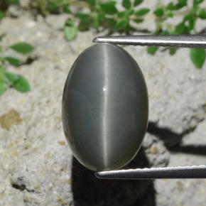 9,17 ctw natürlicher Grün Quarz-Katzenauge, Oval Schliff, Lichtundurchlässig