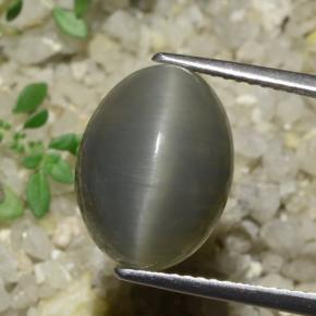 9,17 ctw natürlicher Grau Grün Quarz-Katzenauge, Oval Schliff, Lichtdurchlässig