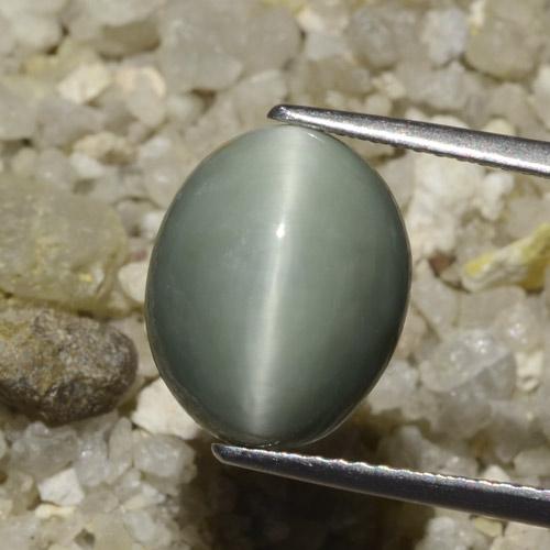 6.06ct Natürlicher Mittelgrau Quarz-Katzenauge, Oval, Lichtundurchlässig