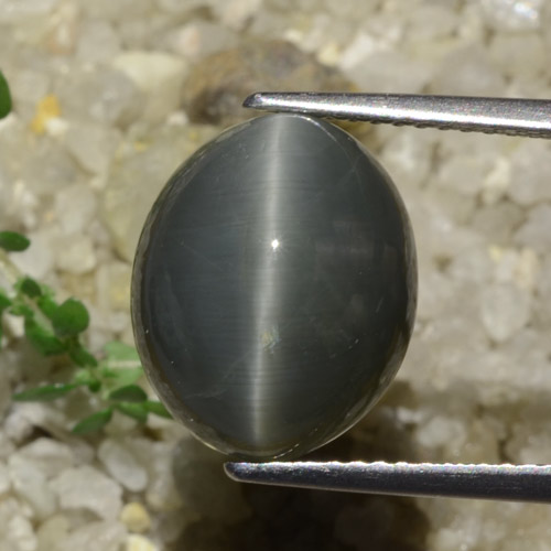 9,17 ctw natürlicher Dunkelgrau Quarz-Katzenauge, Oval Schliff, Lichtundurchlässig