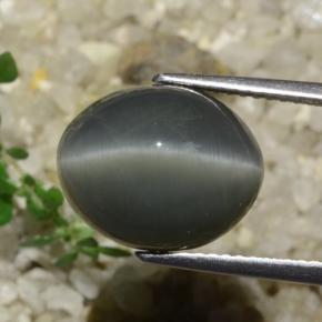 9,17 ctw natürlicher Dunkelgrau Quarz-Katzenauge, Oval Schliff, Lichtundurchlässig