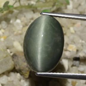 9,17 ctw natürlicher Mittelgrau Quarz-Katzenauge, Oval Schliff, Lichtundurchlässig