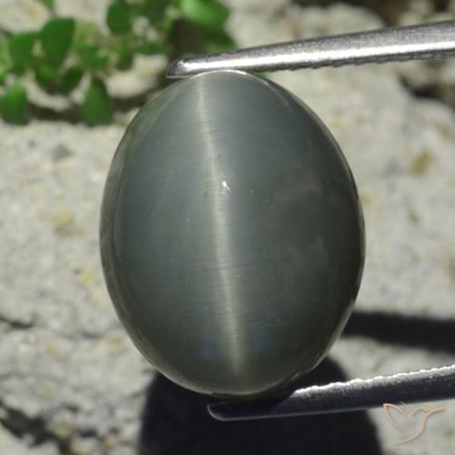 7.28ct Natürlicher Blassgrünes Grau Quarz-Katzenauge, Oval, Lichtundurchlässig