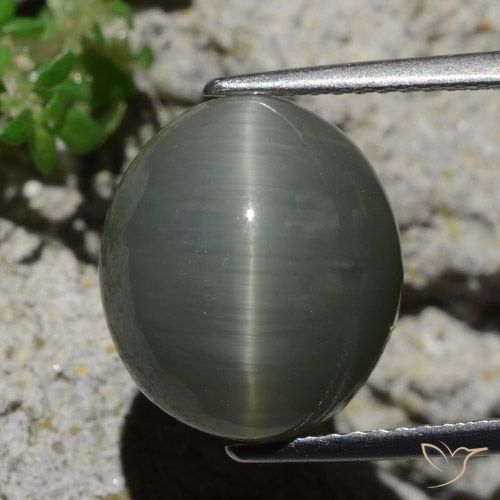 8.02ct Natürlicher Blassgrünes Grau Quarz-Katzenauge, Oval, Lichtundurchlässig