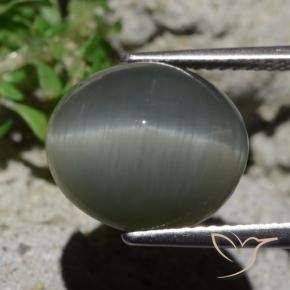 9,17 ctw natürlicher Blassgrünes Grau Quarz-Katzenauge, Oval, Lichtundurchlässig