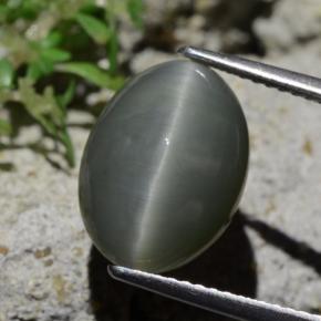 9,17 ctw natürlicher Blassgrünes Grau Quarz-Katzenauge, Oval Schliff, Lichtundurchlässig