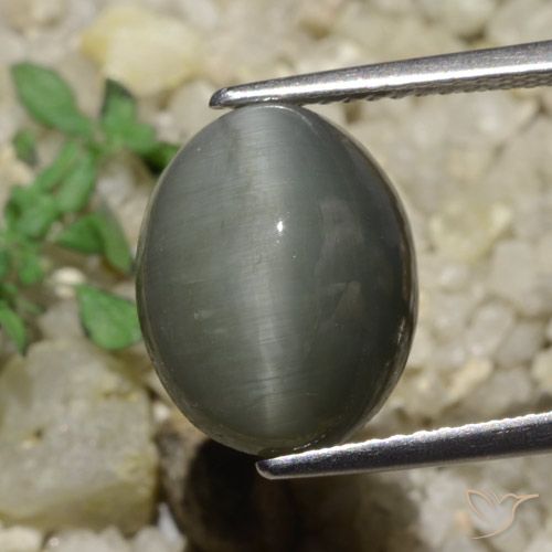 6.65ct Natürlicher Mittelgrau Quarz-Katzenauge, Oval, Lichtundurchlässig