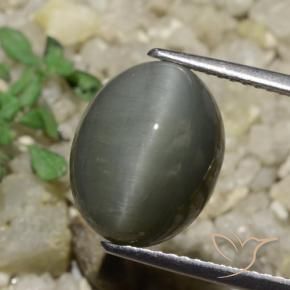9,17 ctw natürlicher Mittelgrau Quarz-Katzenauge, Oval, Lichtundurchlässig