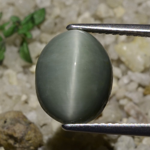 9,17 ctw natürlicher Grünliches Grau Quarz-Katzenauge, Oval Schliff, Lichtdurchlässig