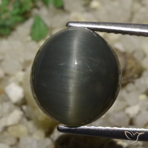 6.05ct Natürlicher Stahlgrau Quarz-Katzenauge, Oval, Lichtundurchlässig