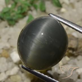 9,17 ctw natürlicher Stahlgrau Quarz-Katzenauge, Oval, Lichtundurchlässig