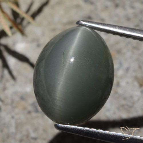 7.32ct Natürlicher Dunkelgrau Quarz-Katzenauge, Oval, Lichtundurchlässig