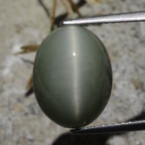 9,17 ctw natürlicher Grünliches Grau Quarz-Katzenauge, Oval Schliff, Lichtundurchlässig