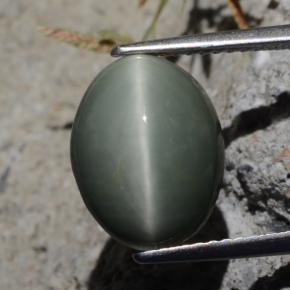 9,17 ctw natürlicher Grün Quarz-Katzenauge, Oval Schliff, Lichtundurchlässig