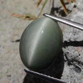 9,17 ctw natürlicher Grün Quarz-Katzenauge, Oval Schliff, Lichtundurchlässig