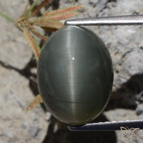 6.97ct Natürlicher Dunkelgrau Quarz-Katzenauge, Oval, Lichtundurchlässig