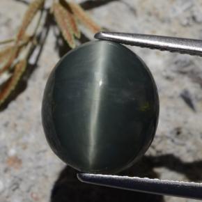 9,17 ctw natürlicher tiefgrün Quarz-Katzenauge, Oval Schliff, Lichtundurchlässig
