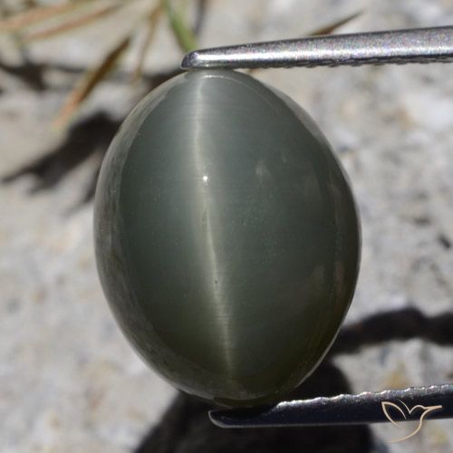 8.10ct Natürlicher Dunkelgrau Quarz-Katzenauge, Oval, Lichtundurchlässig