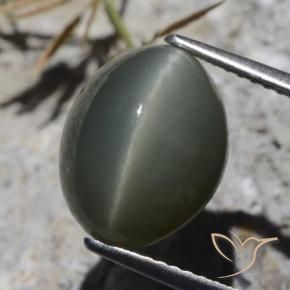 9,17 ctw natürlicher Dunkelgrau Quarz-Katzenauge, Oval, Lichtundurchlässig