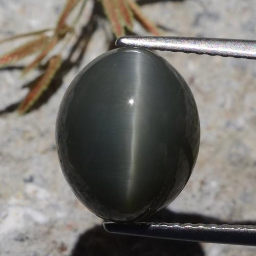 9,17 ctw natürlicher Dunkelgrau Quarz-Katzenauge, Oval Schliff, Lichtundurchlässig