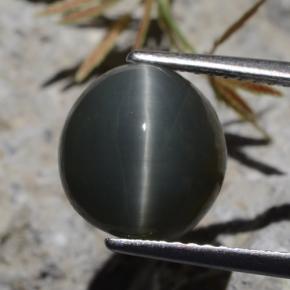 9,17 ctw natürlicher Grün Quarz-Katzenauge, Oval Schliff, Lichtundurchlässig