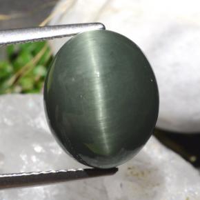 9,17 ctw natürlicher Grün Quarz-Katzenauge, Oval Schliff, Lichtundurchlässig