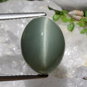 9,17 ctw natürlicher Mitteltiefes Grün Quarz-Katzenauge, Oval Schliff, Lichtundurchlässig