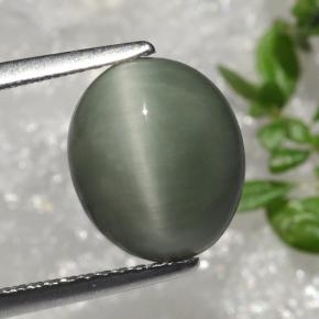 9,17 ctw natürlicher Grün Quarz-Katzenauge, Oval Schliff, Lichtundurchlässig