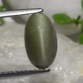 9,17 ctw natürlicher Grün Quarz-Katzenauge, Oval Schliff, Lichtundurchlässig