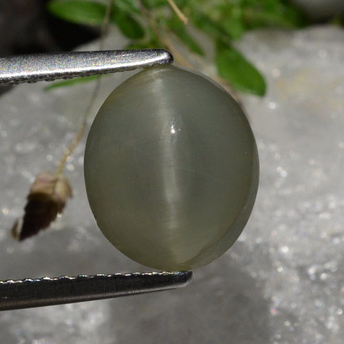 2,99 ctw natürlicher grauer Quartz Cat's Eye, Oval Schliff, Lichtdurchlässig