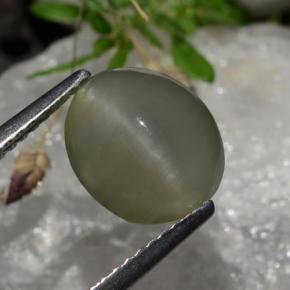 2,99 ctw natürlicher grauer Quartz Cat's Eye, Oval Schliff, Lichtdurchlässig
