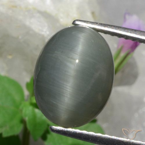 4.89ct Natürlicher Mittelgrau Quarz-Katzenauge, Oval, Lichtundurchlässig