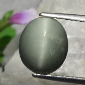 3,01 ctw natürlicher grüner Quartz Cat's Eye, Oval Schliff, Lichtundurchlässig
