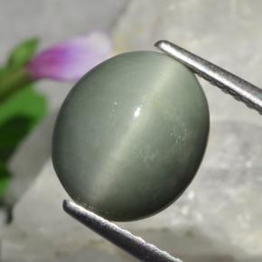 3,01 ctw natürlicher grüner Quartz Cat's Eye, Oval Schliff, Lichtundurchlässig