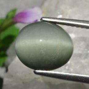 3,01 ctw natürlicher grüner Quartz Cat's Eye, Oval Schliff, Lichtundurchlässig