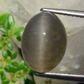 5,37 ctw natürlicher brauner Quartz Cat's Eye, Oval Schliff, Lichtdurchlässig