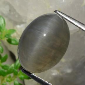 5,37 ctw natürlicher brauner Quartz Cat's Eye, Oval Schliff, Lichtdurchlässig