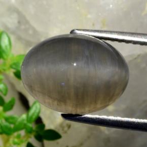 5,37 ctw natürlicher brauner Quartz Cat's Eye, Oval Schliff, Lichtdurchlässig