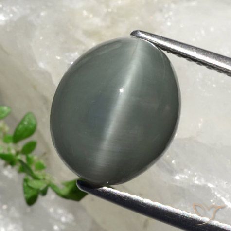 9,17 ctw natürlicher Grünliches Grau Quarz-Katzenauge, Oval Schliff, Lichtundurchlässig