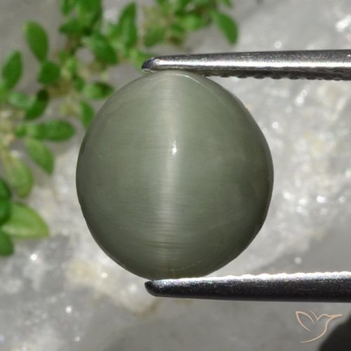 4.44ct Natürlicher Grau Grün Quarz-Katzenauge, Oval, Lichtundurchlässig