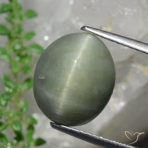 6.13ct Natürlicher Mittelgrün Quarz-Katzenauge, Oval, Lichtundurchlässig