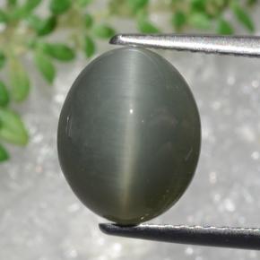 9,17 ctw natürlicher Grünliches Grau Quarz-Katzenauge, Oval Schliff, Lichtundurchlässig
