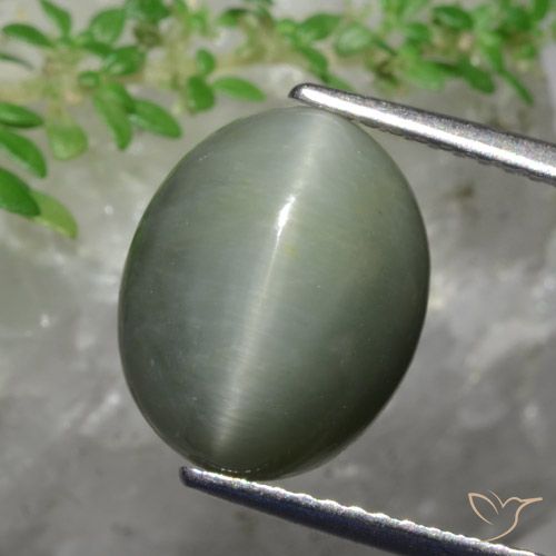 5.82ct Natürlicher Mittelgrün Quarz-Katzenauge, Oval, Lichtundurchlässig