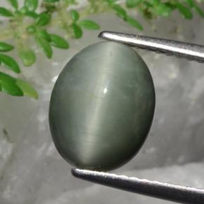 9,17 ctw natürlicher Grün Quarz-Katzenauge, Oval Schliff, Lichtundurchlässig