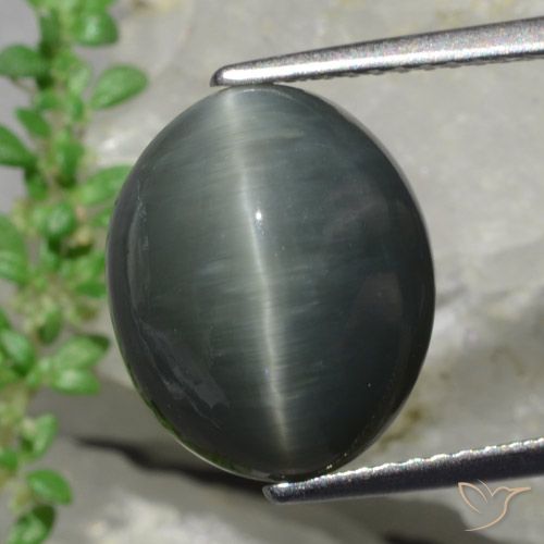 9,17 ctw natürlicher Dunkelgrau Quarz-Katzenauge, Oval Schliff, Lichtundurchlässig