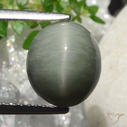 4.18ct Natürlicher Mittelgrau Quarz-Katzenauge, Oval, Lichtundurchlässig, Photo A