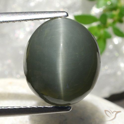 7.44ct Natürlicher Mittelgrau Quarz-Katzenauge, Oval, Lichtundurchlässig