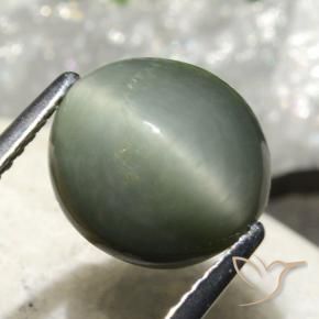9,17 ctw natürlicher Grünliches Grau Quarz-Katzenauge, Oval, Lichtundurchlässig