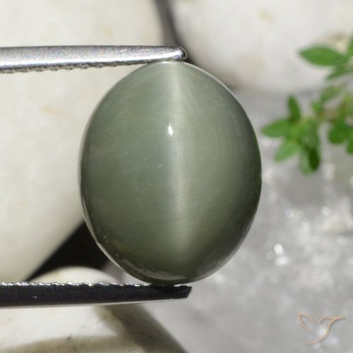 7.32ct Natürlicher Mittelgrün Quarz-Katzenauge, Oval, Lichtundurchlässig